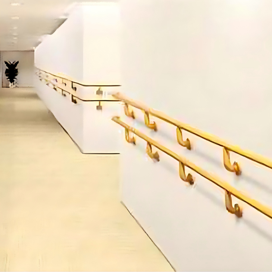 Barrierefreier Handlauf-Gangway